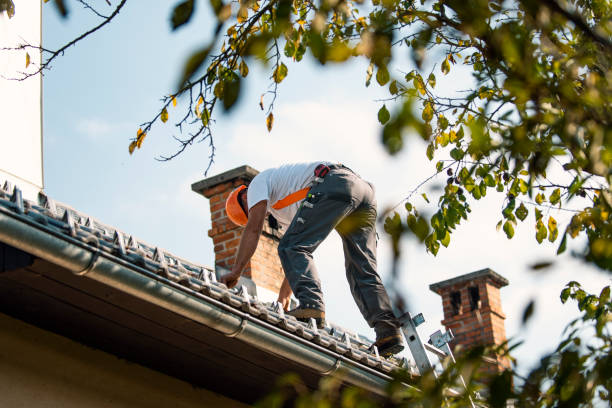 Roof Gutter Cleaning in Cockrell Hill, TX